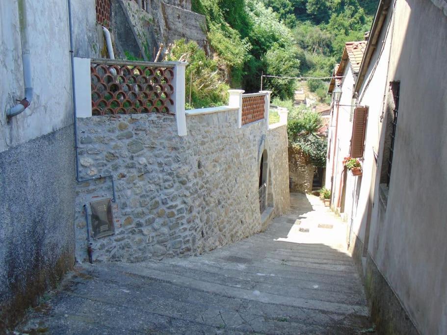 Villa Rustico San Jacopo Gallicano Exterior foto